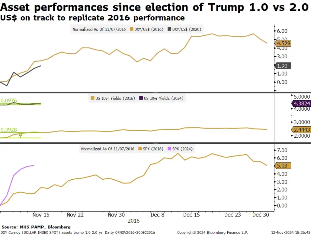 market-reaction-to-trump-reelection
