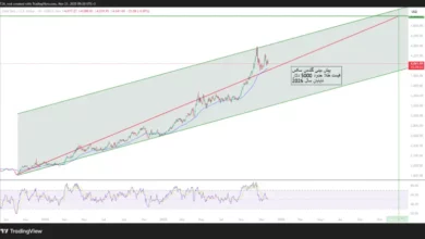 goldman sachs 20251121