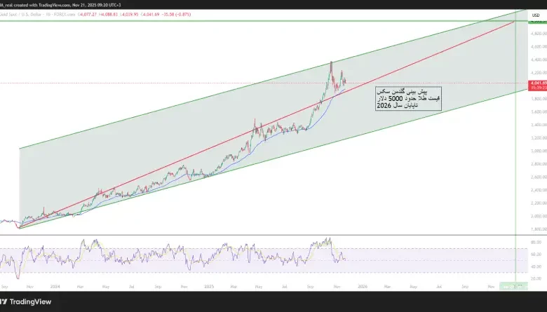 goldman sachs 20251121